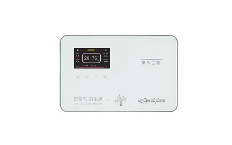 铁岭弥散供氧系统终端